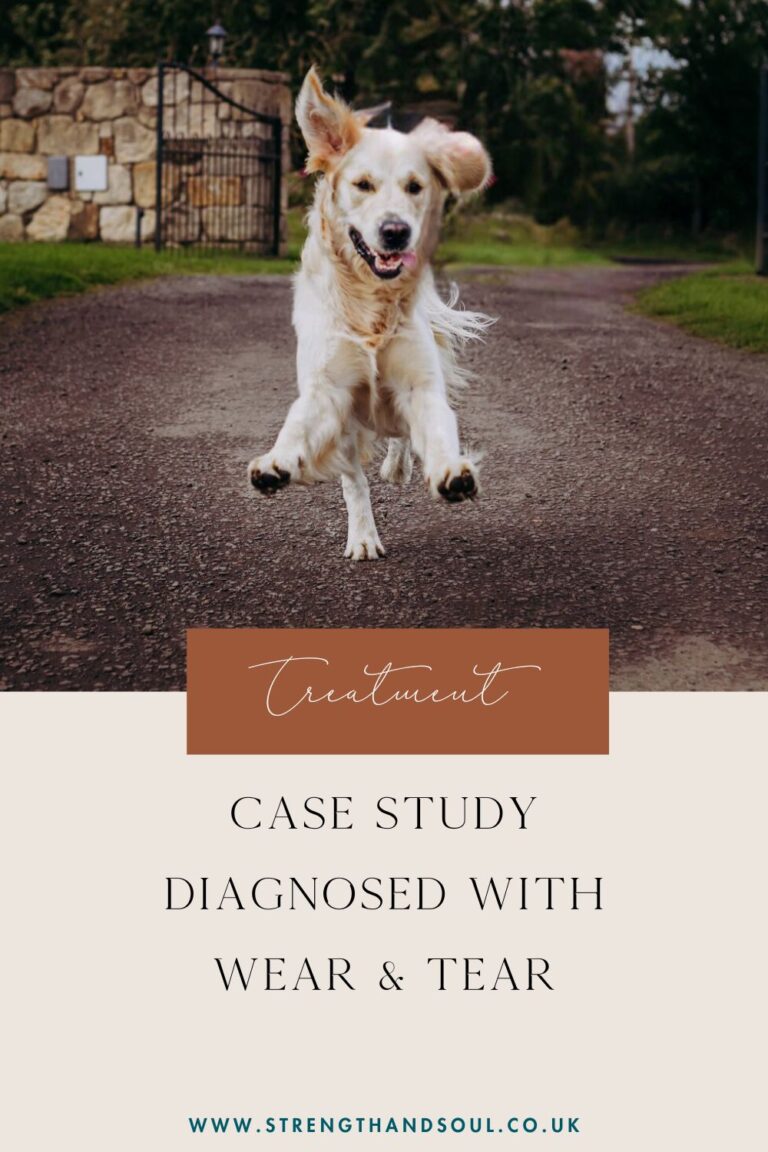 diagnosed with wear and tear