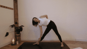 Pitta Digestion